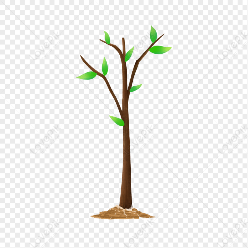 Detail Gambar Pohon Kecil Nomer 7