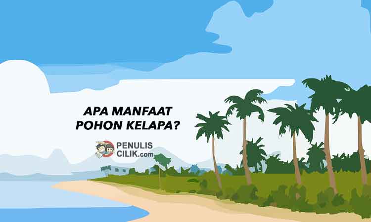 Detail Gambar Pohon Kelapa Dan Manfaatnya Nomer 37