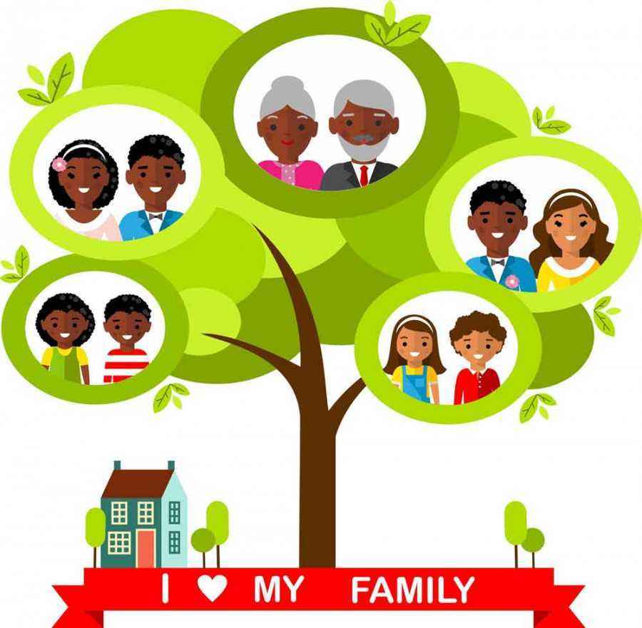 Detail Gambar Pohon Keluarga Nomer 9
