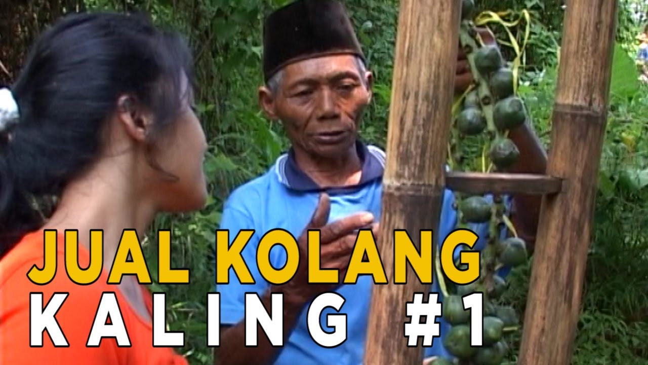 Detail Gambar Pohon Kolang Kaling Nomer 43