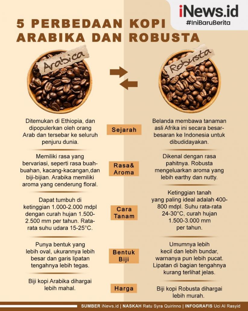 Detail Gambar Pohon Kopi Arabika Gambar Pohon Kopi Arabika Dan Robusta Nomer 36