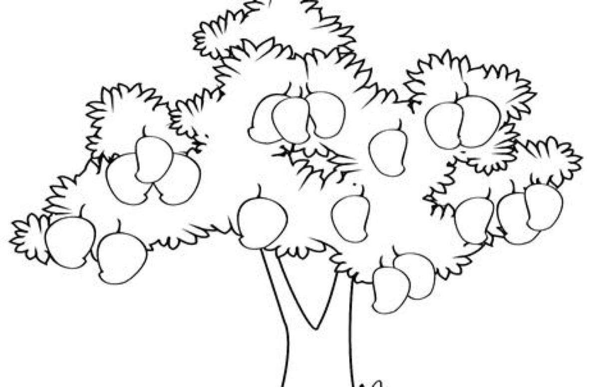 Detail Gambar Pohon Mangga Yang Mudah Nomer 16