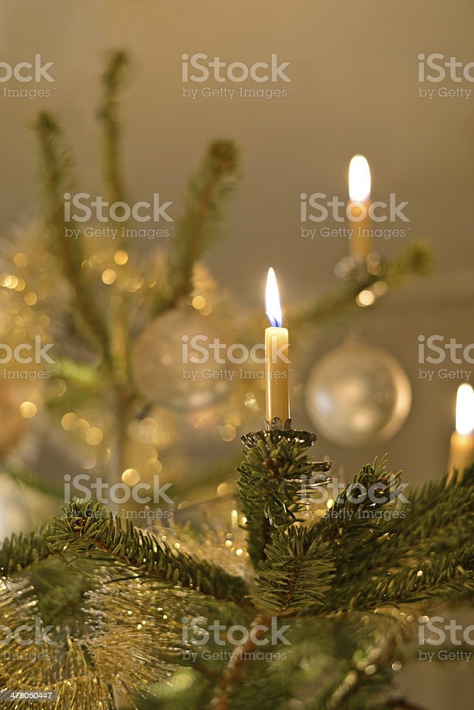 Detail Gambar Pohon Natal Dan Lilin Nomer 11