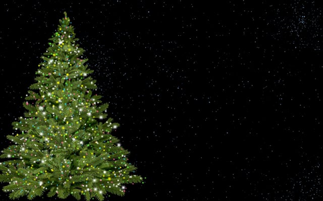Detail Gambar Pohon Natal Hd Nomer 21
