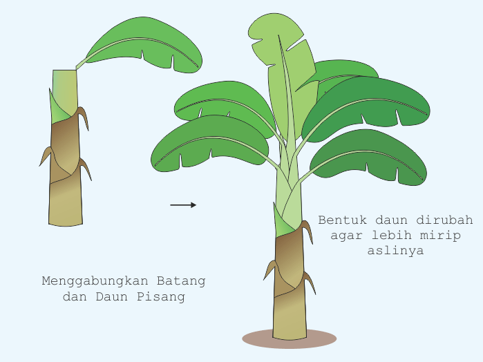 Detail Gambar Pohon Pisang 2 Dimensi Nomer 4