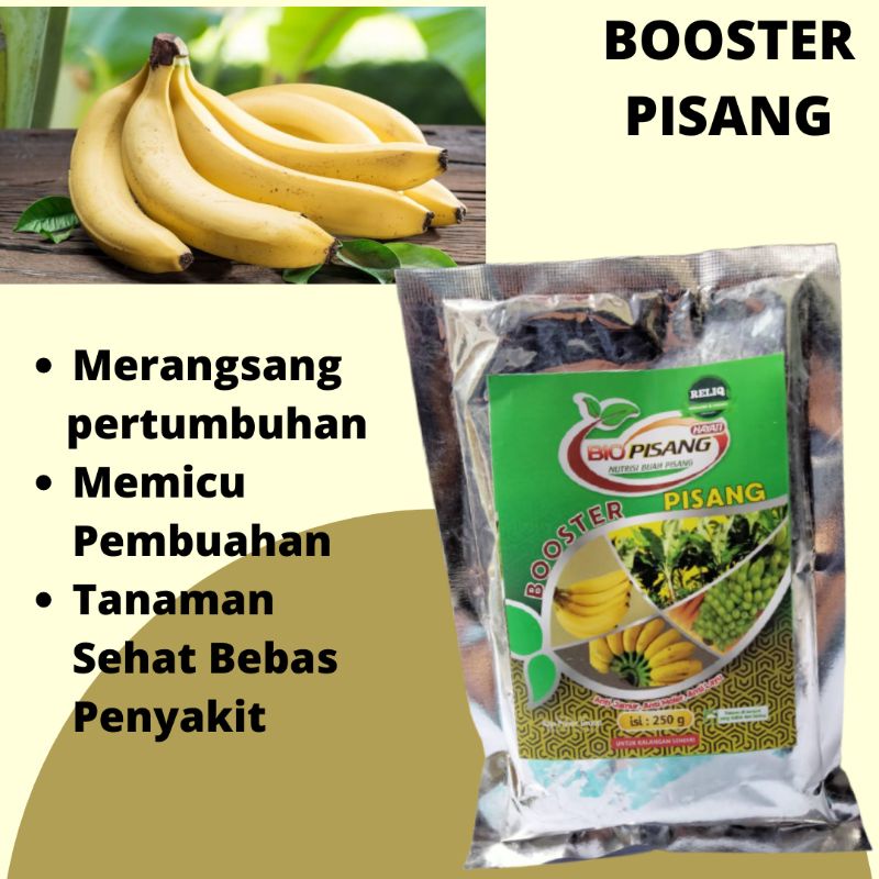 Detail Gambar Pohon Pisang 2 Dimensi Nomer 30