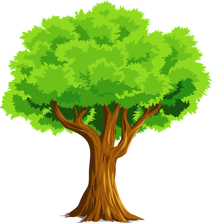 Detail Gambar Pohon Pohon Nomer 2