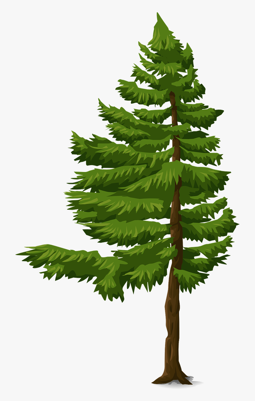 Detail Gambar Pohon Pohon Nomer 54