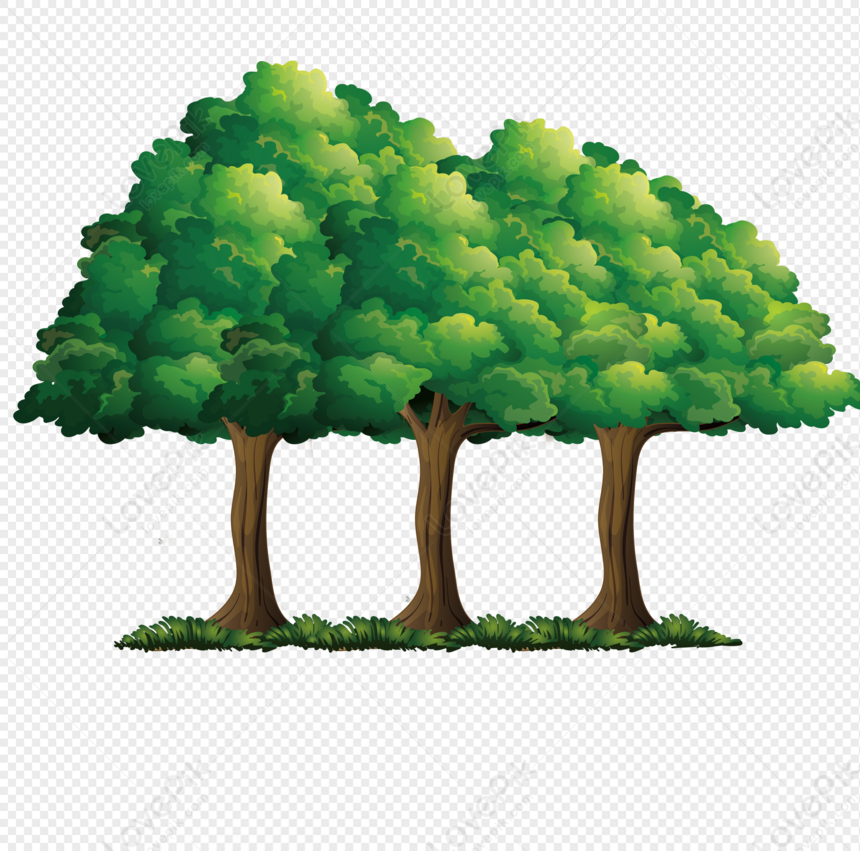 Detail Gambar Pohon Pohon Nomer 6