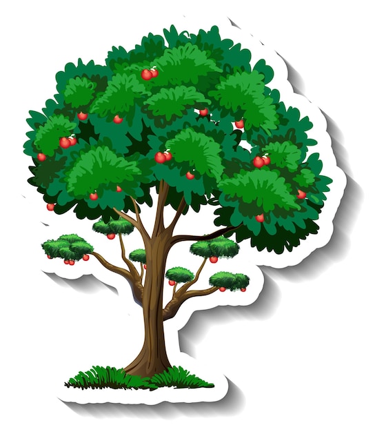 Detail Gambar Pohon Pohonan Nomer 53