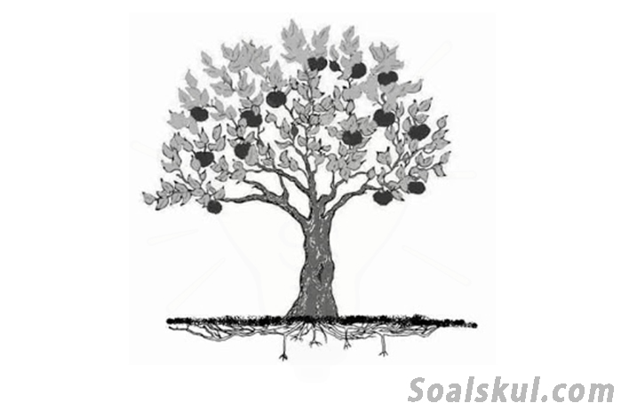 Detail Gambar Pohon Psikotes Yang Benar Nomer 13
