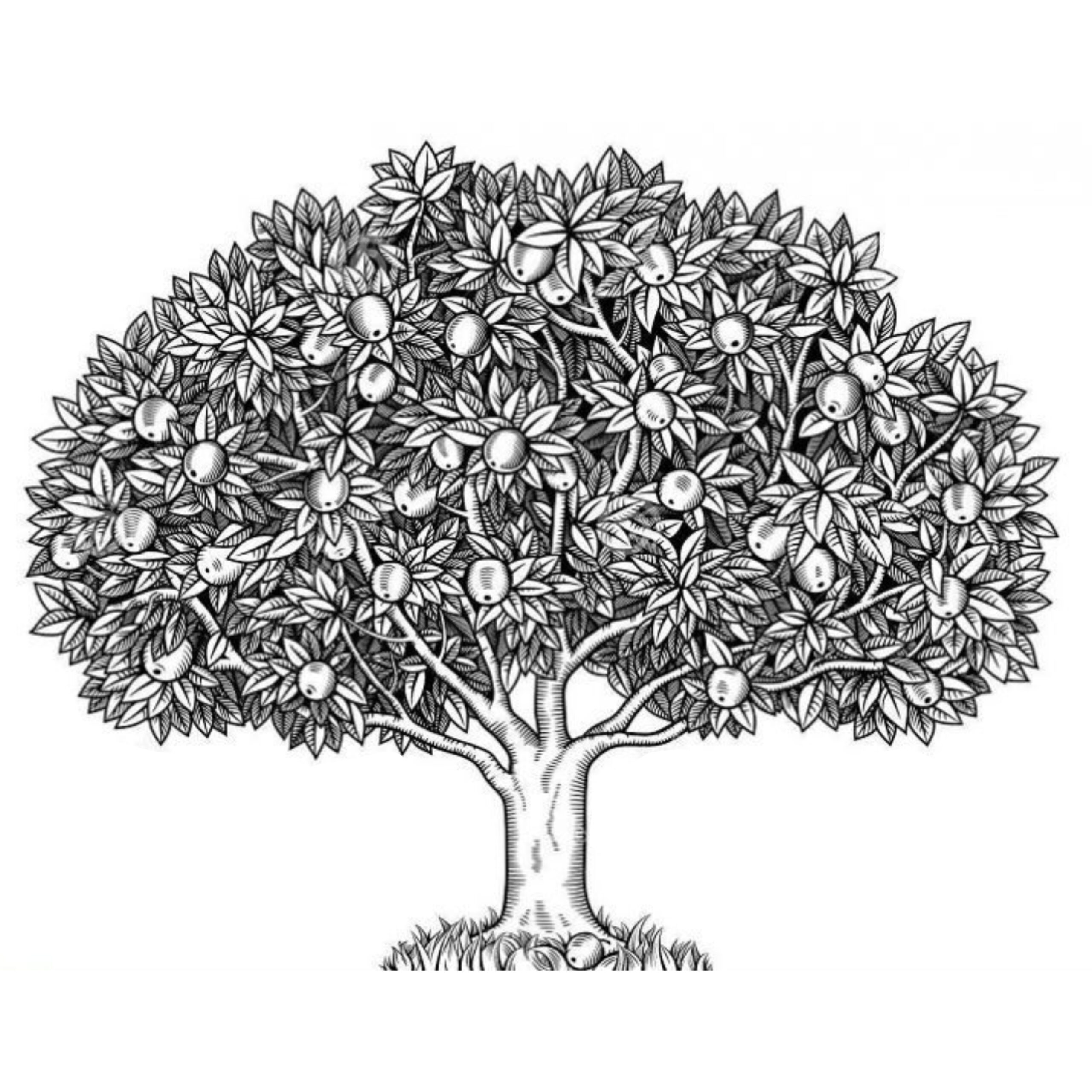 Detail Gambar Pohon Psikotes Yang Benar Nomer 24