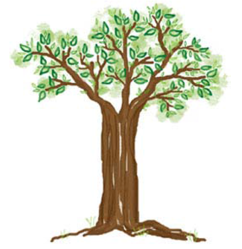 Detail Gambar Pohon Psikotes Yang Benar Nomer 26