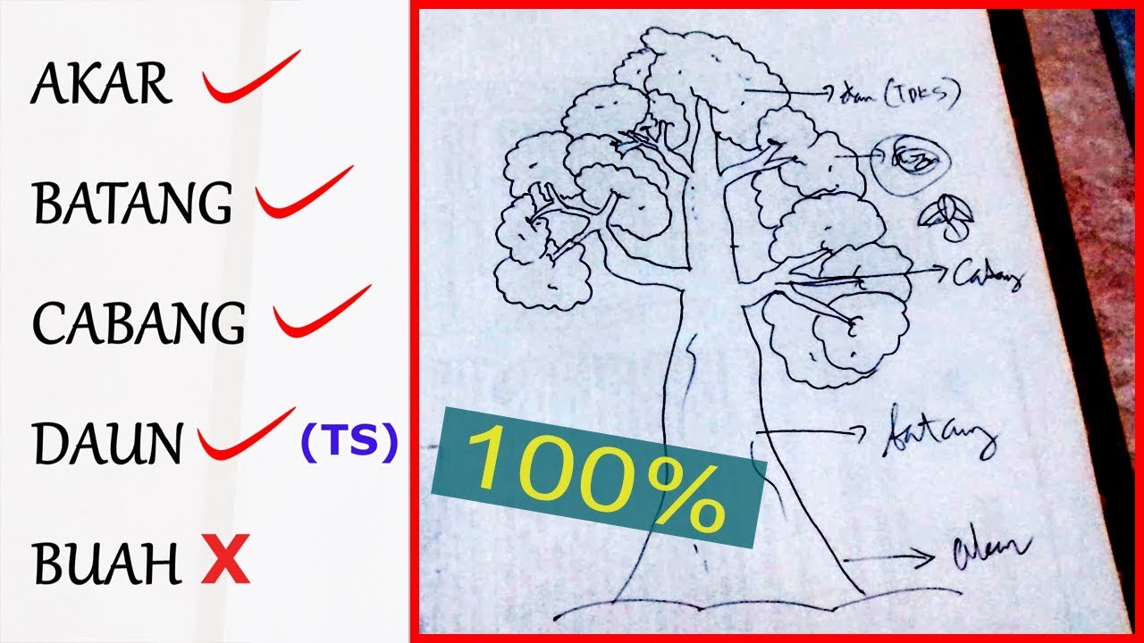 Detail Gambar Pohon Psikotes Yg Benar Nomer 6