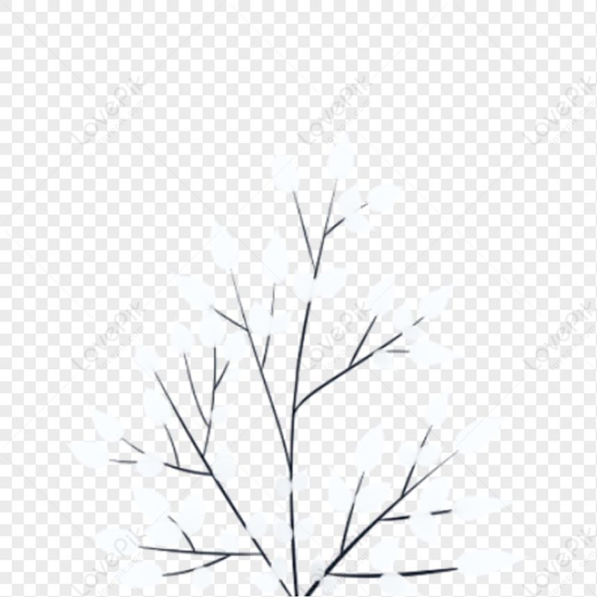 Detail Gambar Pohon Putih Nomer 11