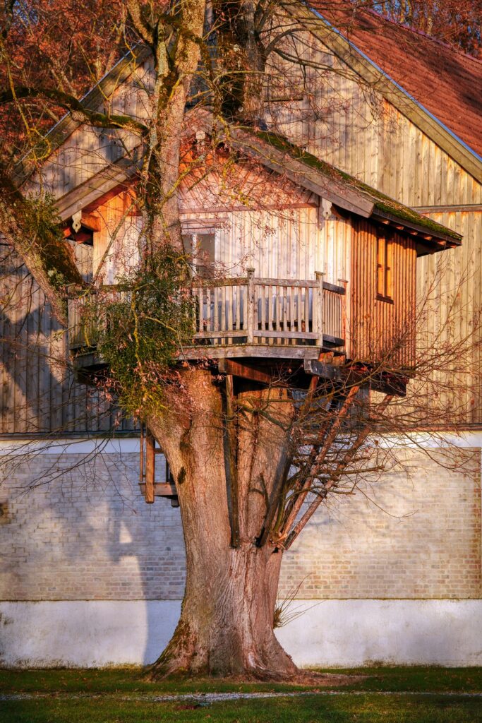 Detail Gambar Pohon Rumah Dan Orang Nomer 28