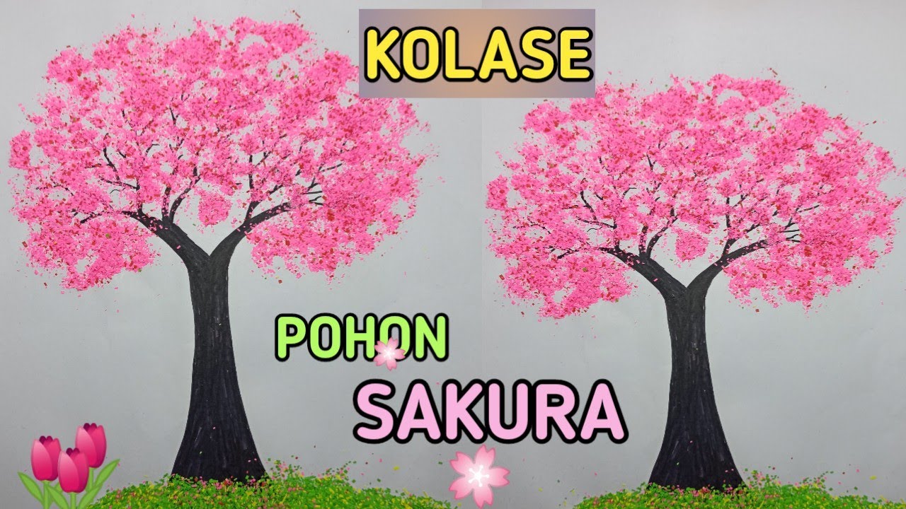 Detail Gambar Pohon Sakura Nomer 2