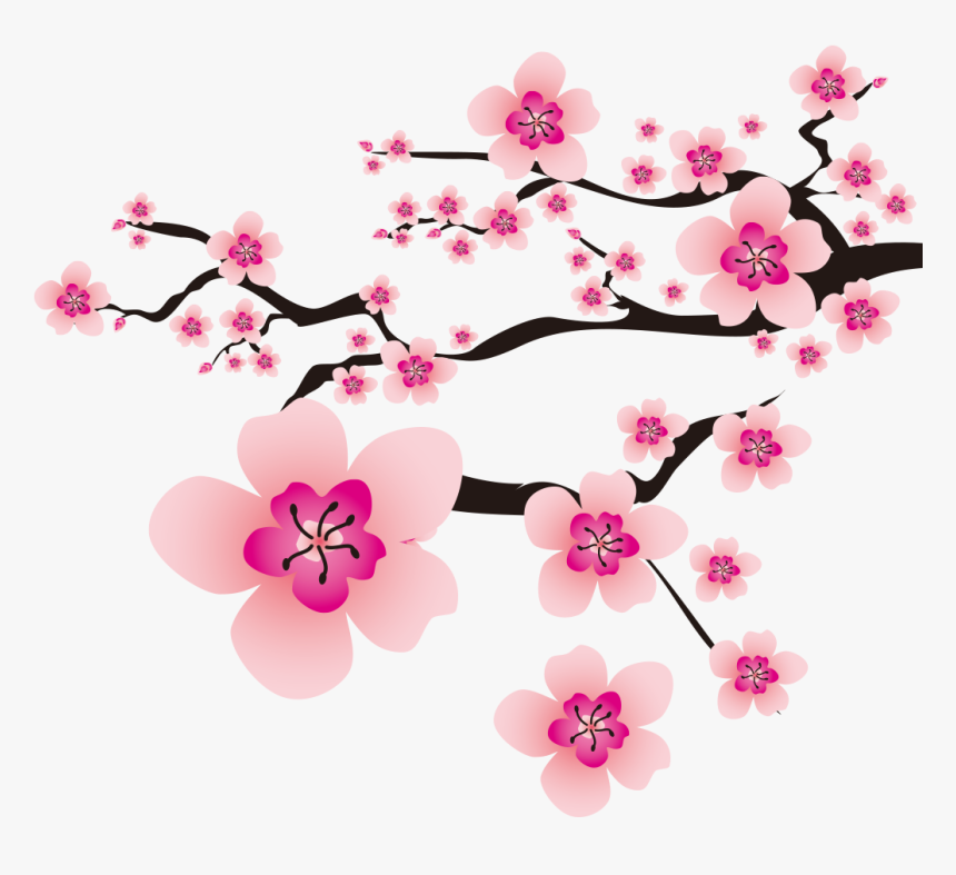 Detail Gambar Pohon Sakura Nomer 53