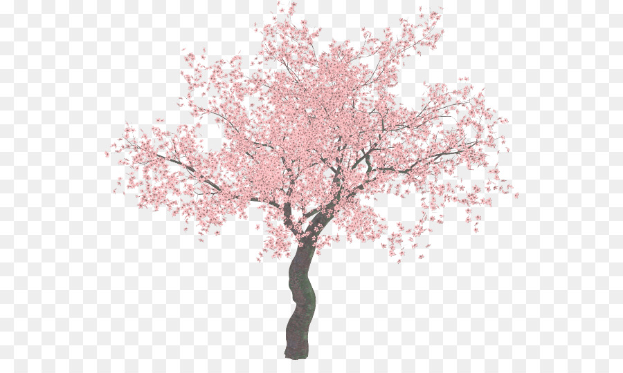 Detail Gambar Pohon Sakura Anime Nomer 46