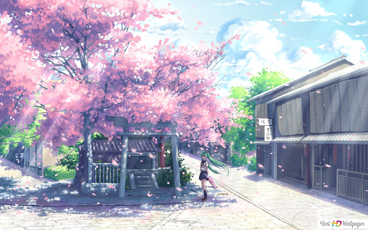 Detail Gambar Pohon Sakura Anime Nomer 58