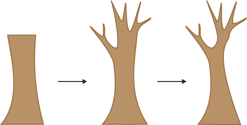 Detail Gambar Pohon Sederhana Nomer 41