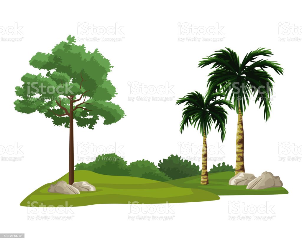 Detail Gambar Pohon Semak Semak Nomer 29