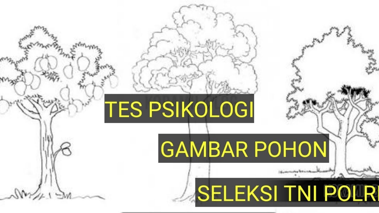 Detail Gambar Pohon Tes Psikotes Nomer 29