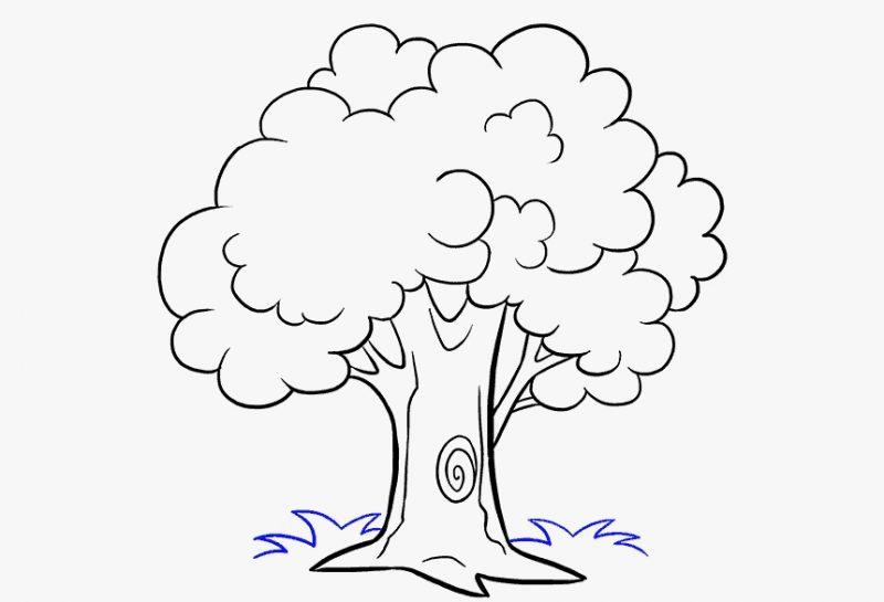 Detail Gambar Pohon Untuk Diwarnai Nomer 11