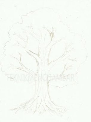 Detail Gambar Pohon Untuk Diwarnai Nomer 41