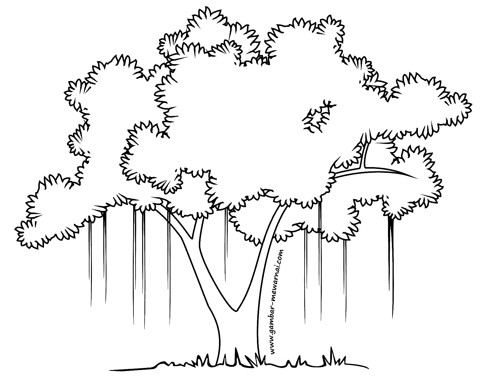 Detail Gambar Pohon Untuk Diwarnai Nomer 8