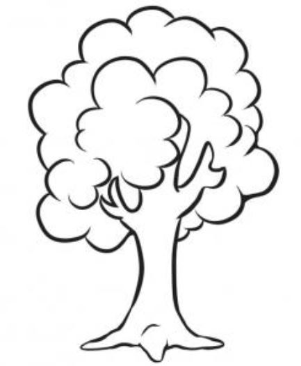 Detail Gambar Pohon Untuk Mewarnai Nomer 17