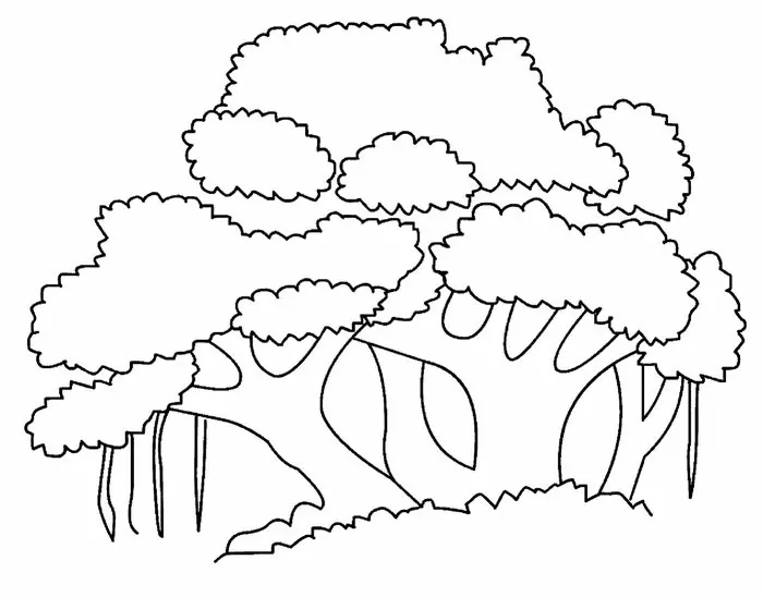 Detail Gambar Pohon Untuk Mewarnai Nomer 31