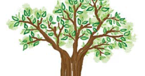 Detail Gambar Pohon Untuk Psikotes Nomer 46