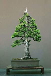 Detail Gambar Pohon Yang Simetris Nomer 25
