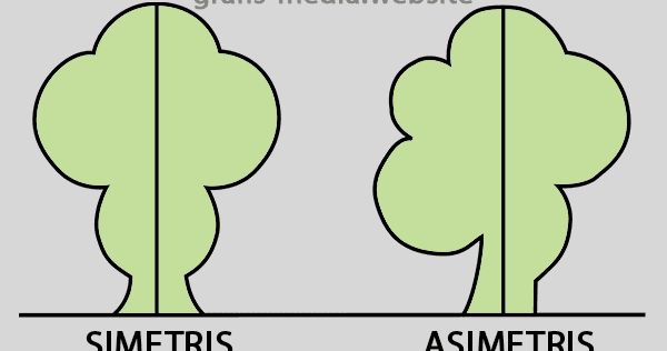 Detail Gambar Pohon Yang Simetris Nomer 9