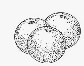 Detail Gambar Pointilis Sederhana Nomer 29
