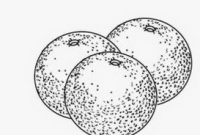 Detail Gambar Pointilis Sederhana Nomer 45