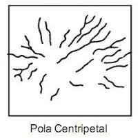 Detail Gambar Pola Aliran Sungai Dendritik Nomer 36