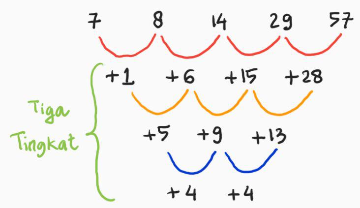 Detail Gambar Pola Barisan Dan Deret Bilangan Nomer 5