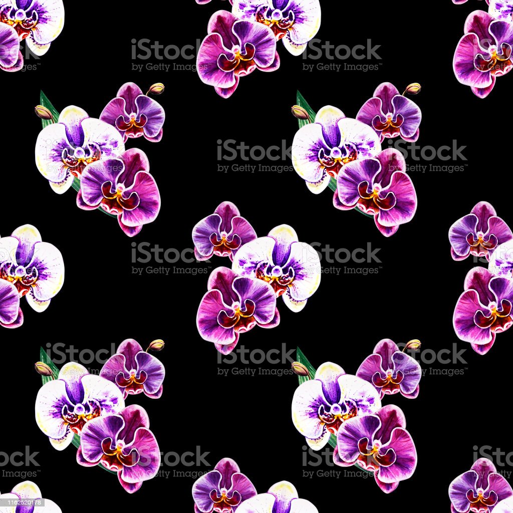 Detail Gambar Pola Bunga Anggrek Nomer 29