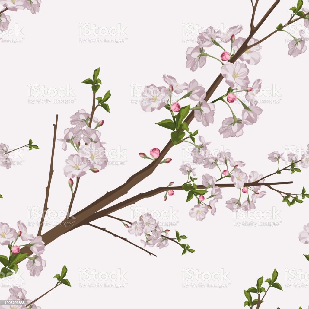 Detail Gambar Pola Bunga Sakura Nomer 25