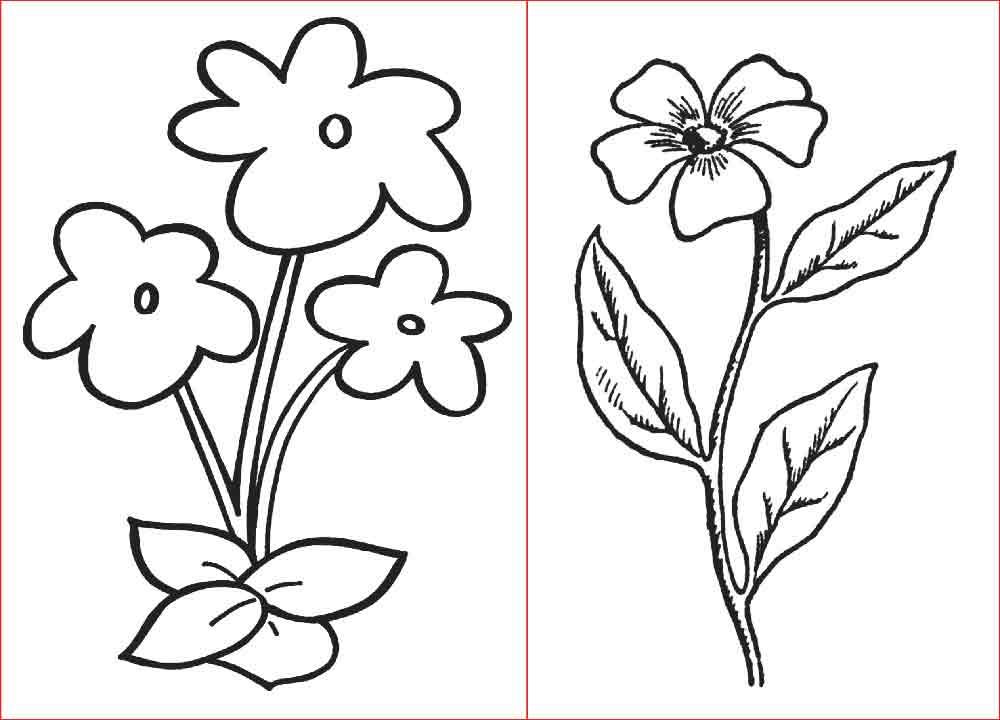 Detail Gambar Pola Bunga Sederhana Nomer 3