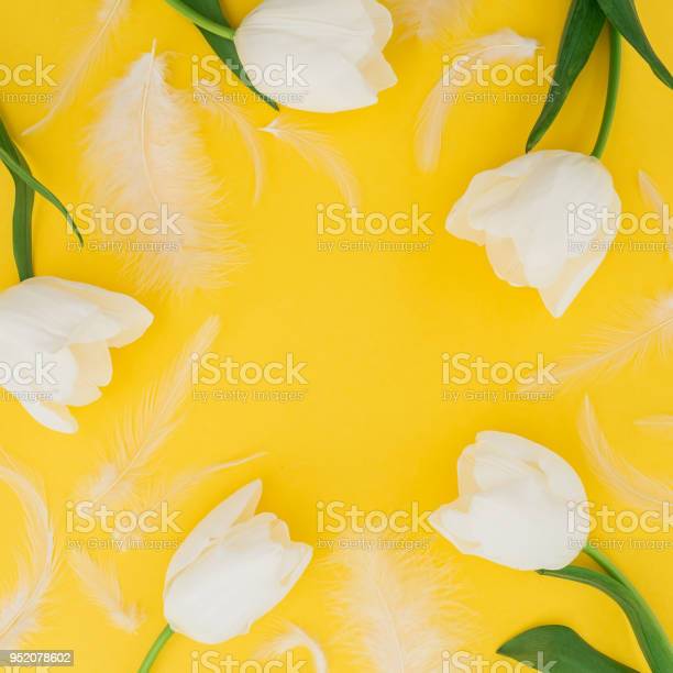 Detail Gambar Pola Bunga Tulip Nomer 27