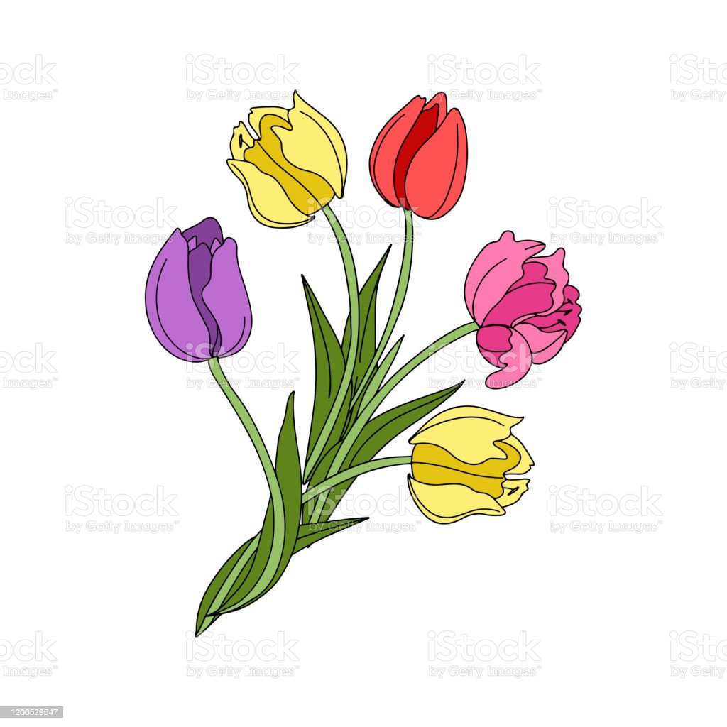 Detail Gambar Pola Bunga Tulip Nomer 49