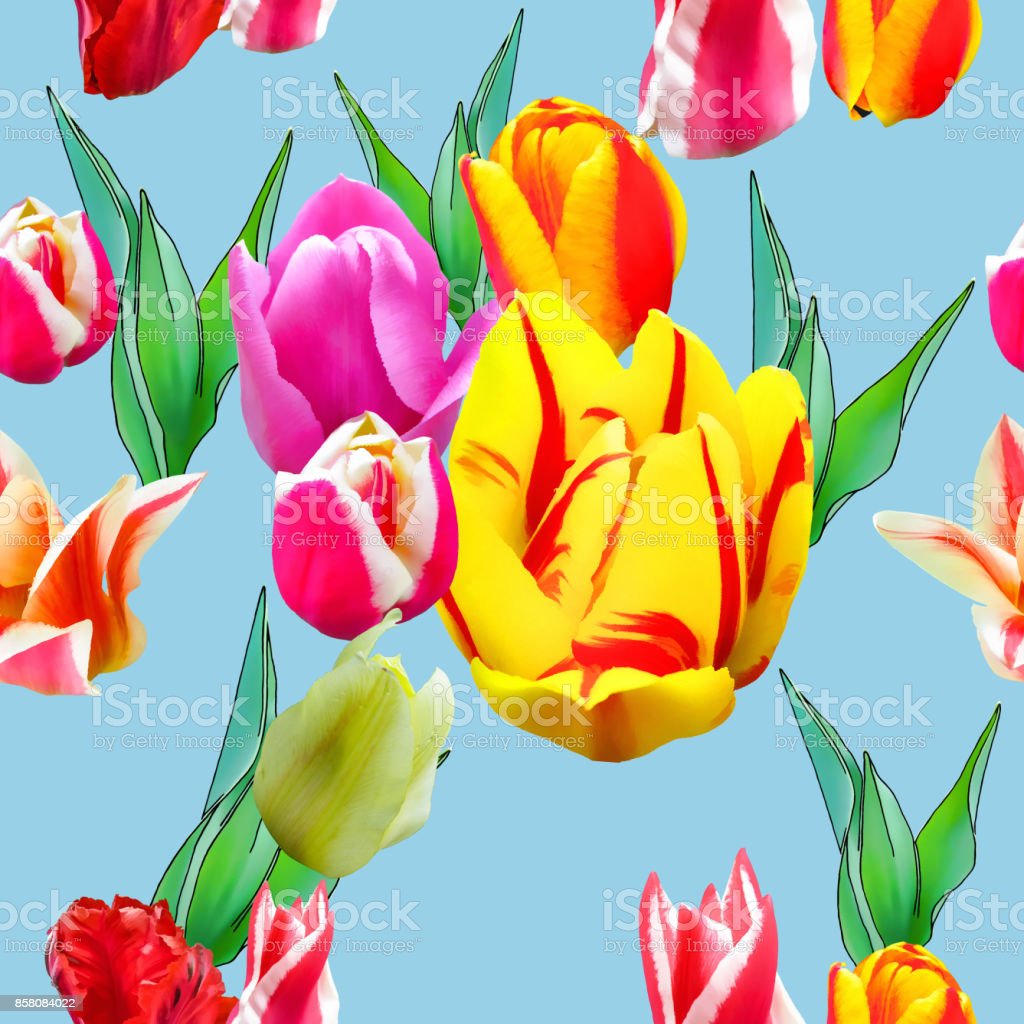 Detail Gambar Pola Bunga Tulip Nomer 51