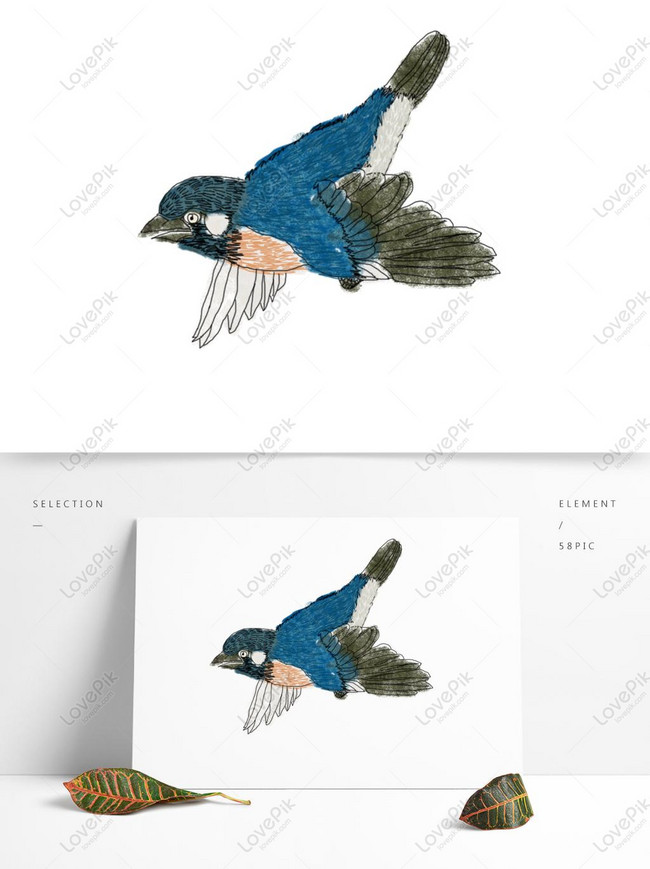 Detail Gambar Pola Burung Nomer 37