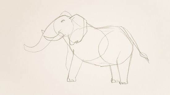 Detail Gambar Pola Gajah Nomer 3