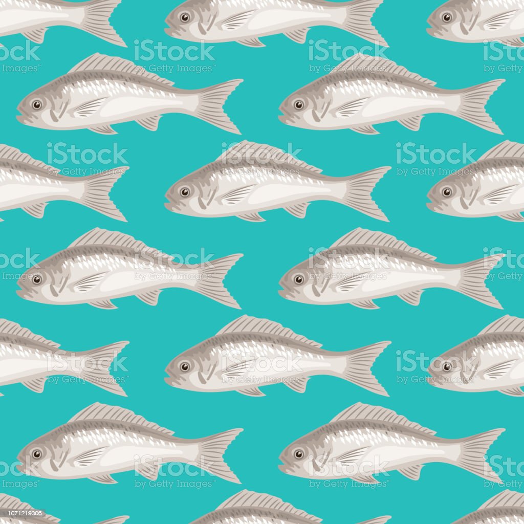 Detail Gambar Pola Ikan Nomer 46