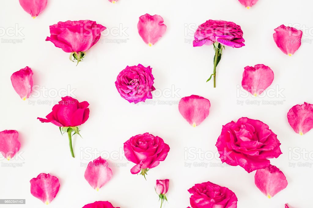 Detail Gambar Pola Kelopak Bunga Mawar Nomer 15