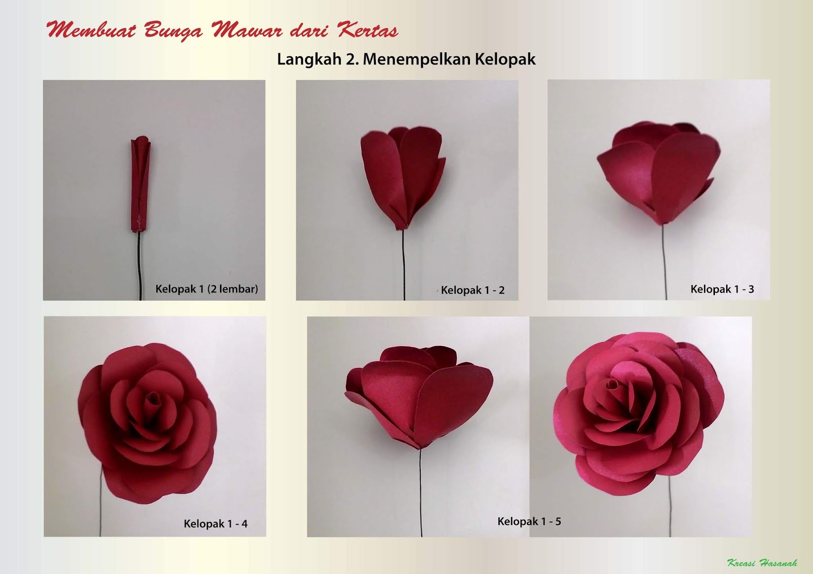 Detail Gambar Pola Kelopak Bunga Mawar Nomer 17
